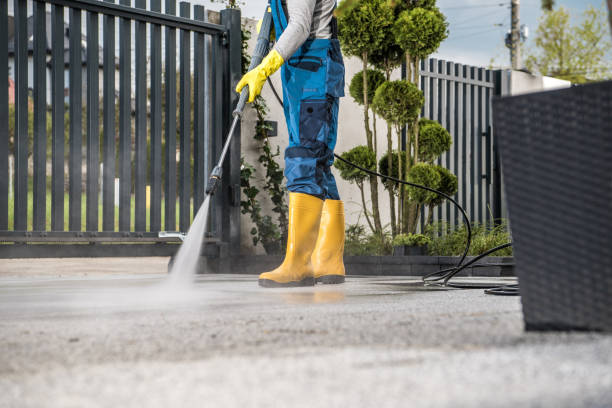 Best Solar Panel Cleaning  in Wildwood, FL